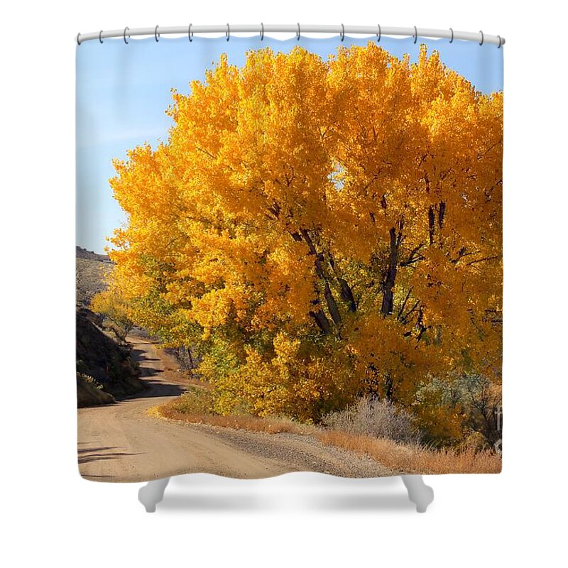 Colorado Shower Curtain featuring the photograph Horse Thief Canyon Gold by Bob Hislop