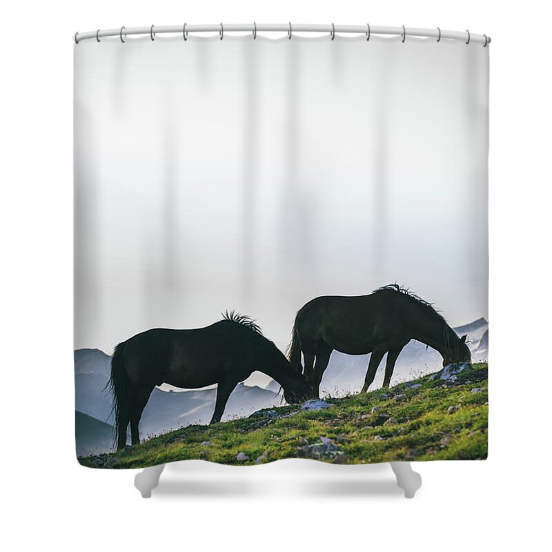 Horse Shower Curtain featuring the photograph Horses Grazing, Dolomites by Deimagine