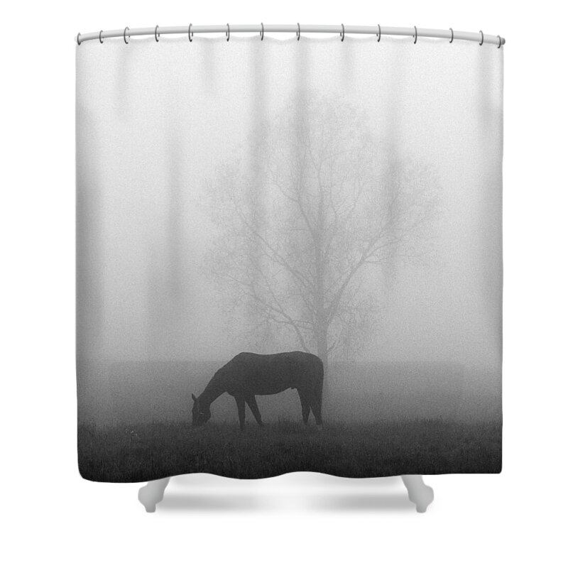 Finland Shower Curtain featuring the photograph Horses of the Fall bw by Jouko Lehto