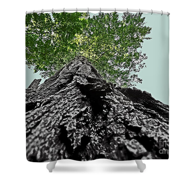 Above Shower Curtain featuring the photograph How a Chipmunk Sees a Tree by Dawn Gari