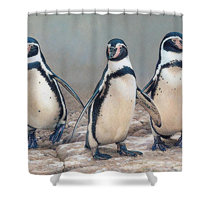 Animal Shower Curtain featuring the photograph Humboldt Penguins Standing In A Row by Ikon Ikon Images