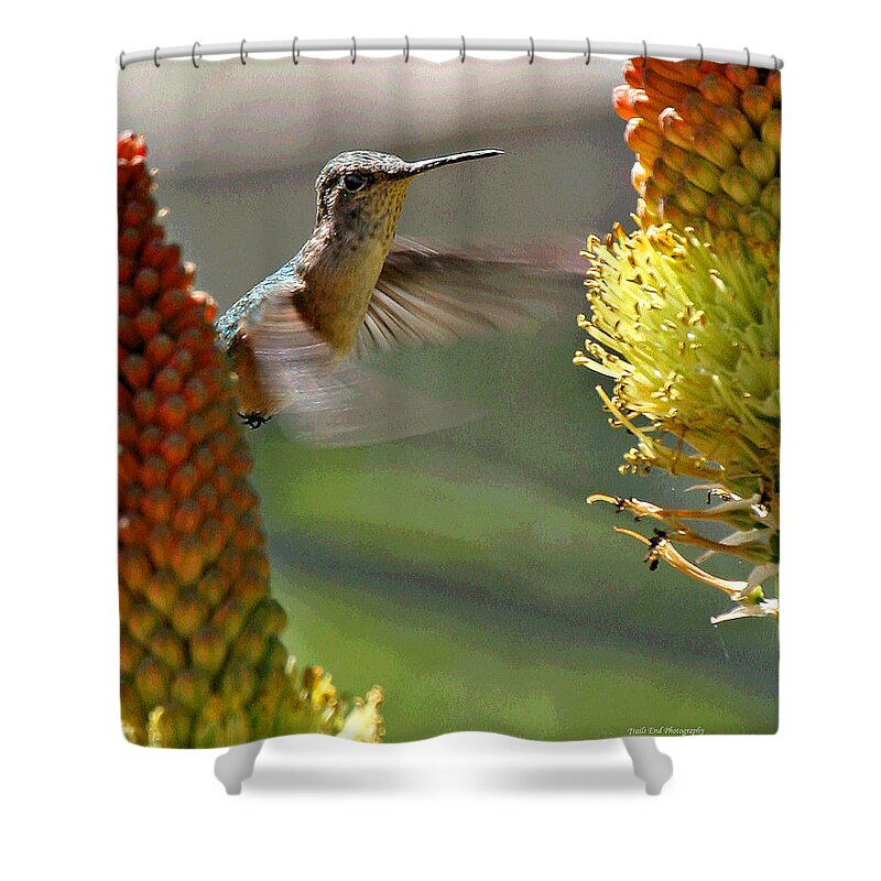Hummingbird Shower Curtain featuring the photograph Hummingbird Feeding by Matalyn Gardner