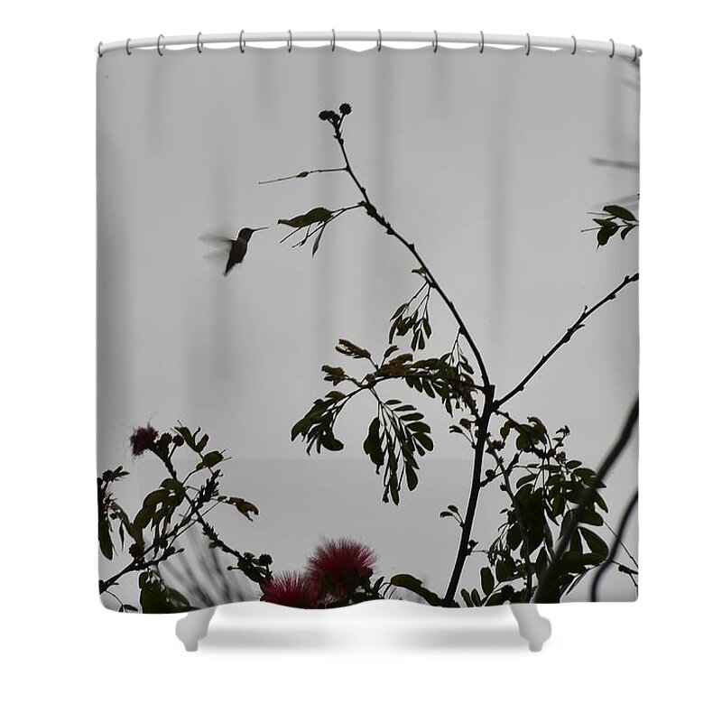 Linda Brody Shower Curtain featuring the photograph Hummingbird Silhouette II by Linda Brody