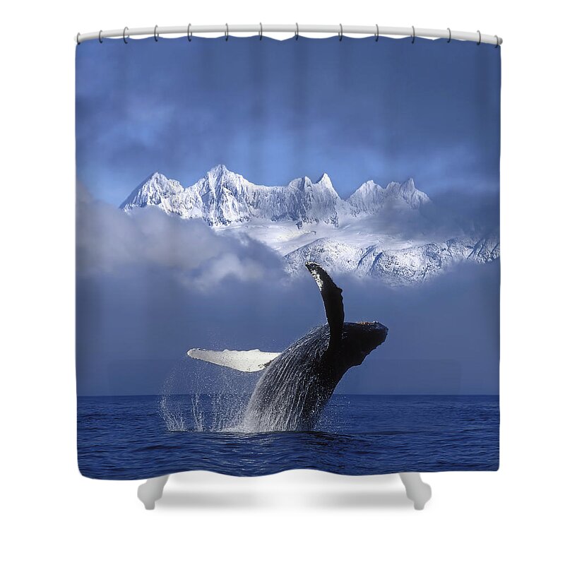 Inside Passage Alaska Shower Curtains