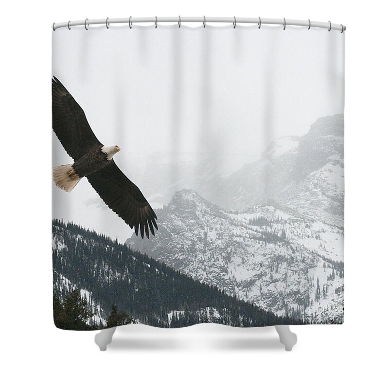 Eagle Shower Curtain featuring the photograph I am the Eagle by Bon and Jim Fillpot
