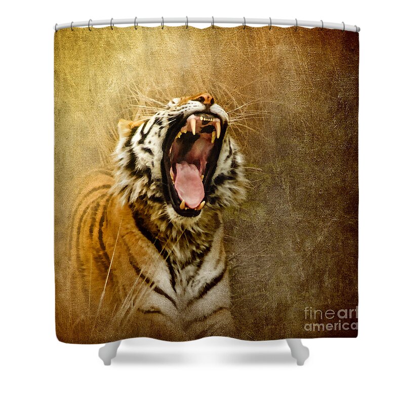 Bengal Tiger Shower Curtain featuring the photograph I Am Woman Hear Me Roar by Betty LaRue