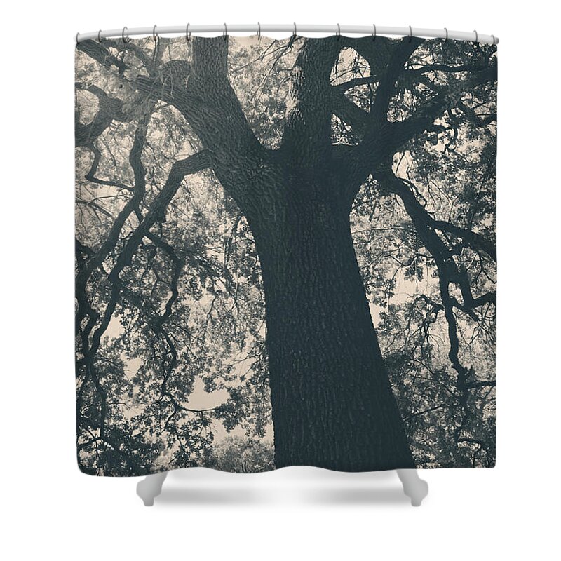 Mt. Diablo State Park Shower Curtain featuring the photograph I Can't Describe by Laurie Search