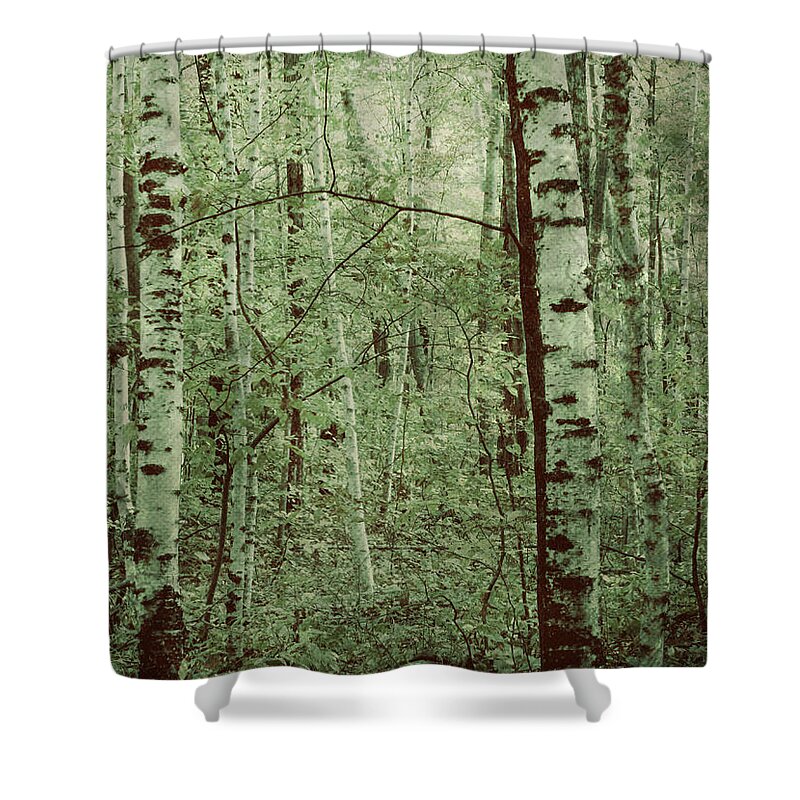 Soft Forest Shower Curtain featuring the photograph Dreams of a Forest by Mary Wolf