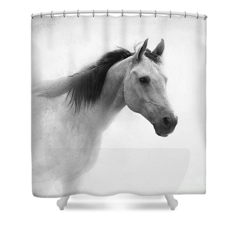 Horse Shower Curtain featuring the photograph I Dream of Horses by Betty LaRue