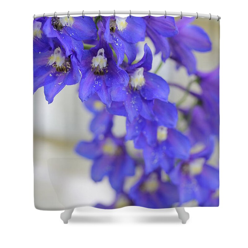 Delphinium Shower Curtain featuring the photograph I Got the Blues by Ruth Kamenev