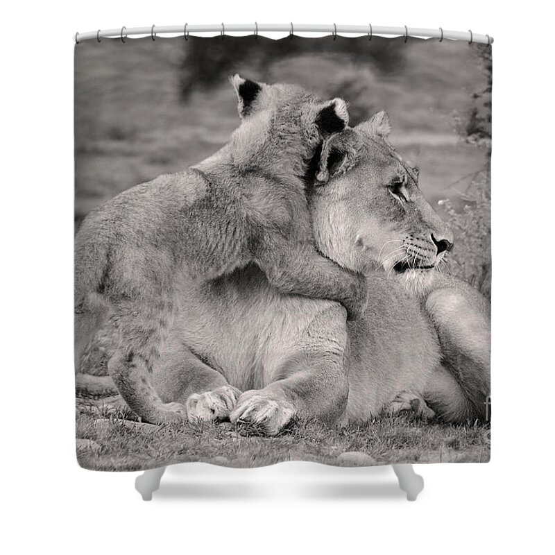 Lion Shower Curtain featuring the photograph I love my Momi by Christine Sponchia