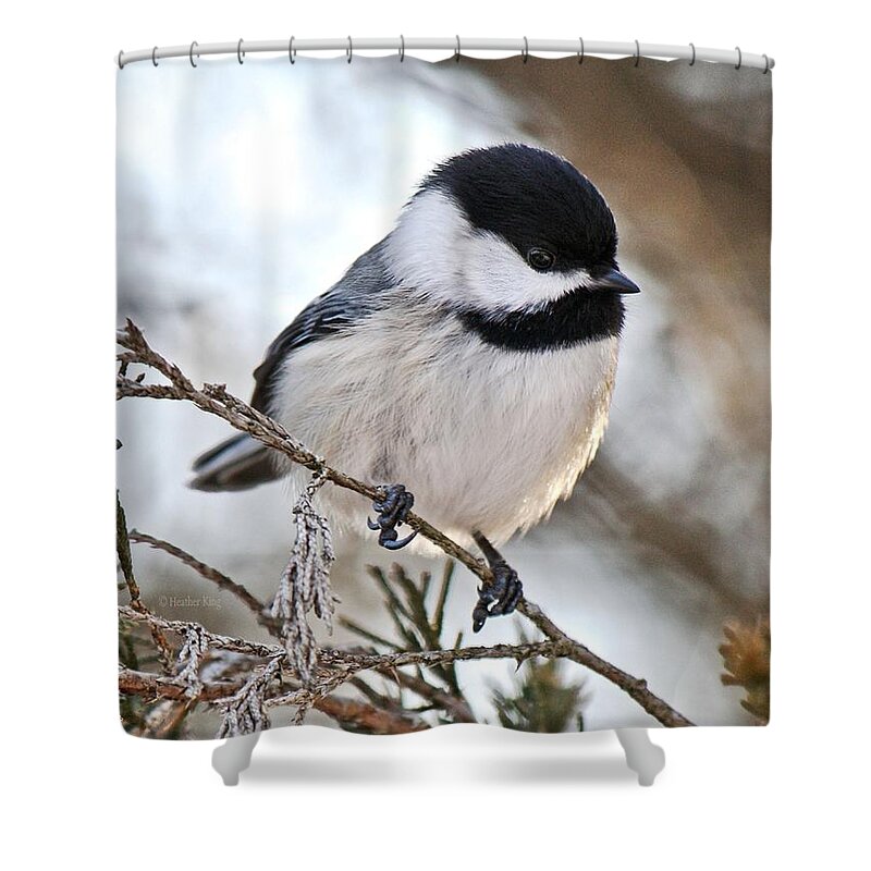 Nature Shower Curtain featuring the photograph I may be tiny but you should see me fly by Heather King