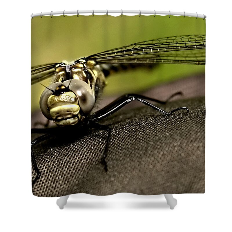 Dragon Fly Shower Curtain featuring the photograph I see you by Gary Wightman