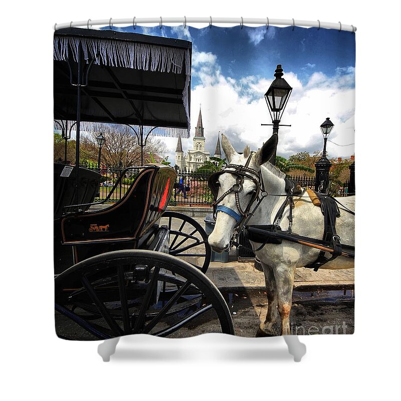 Horses Shower Curtain featuring the photograph I told em cart BEFORE by Robert McCubbin