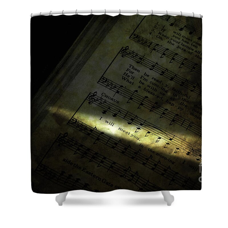 Holy Shower Curtain featuring the photograph I Will Meet You by Michael Eingle