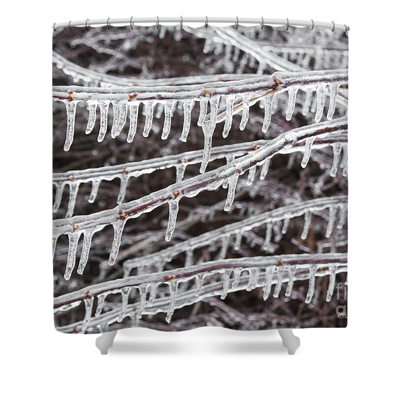 Icicle Shower Curtain featuring the photograph Ice Abstract 2 by Barbara McMahon
