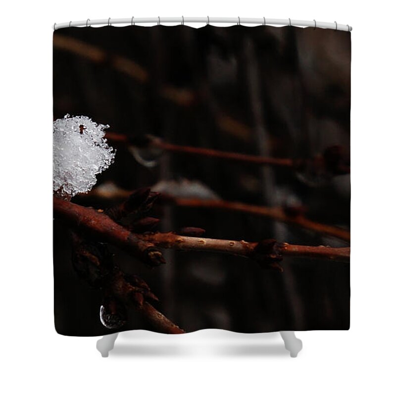 Snow Shower Curtain featuring the photograph Ice by Linda Shafer