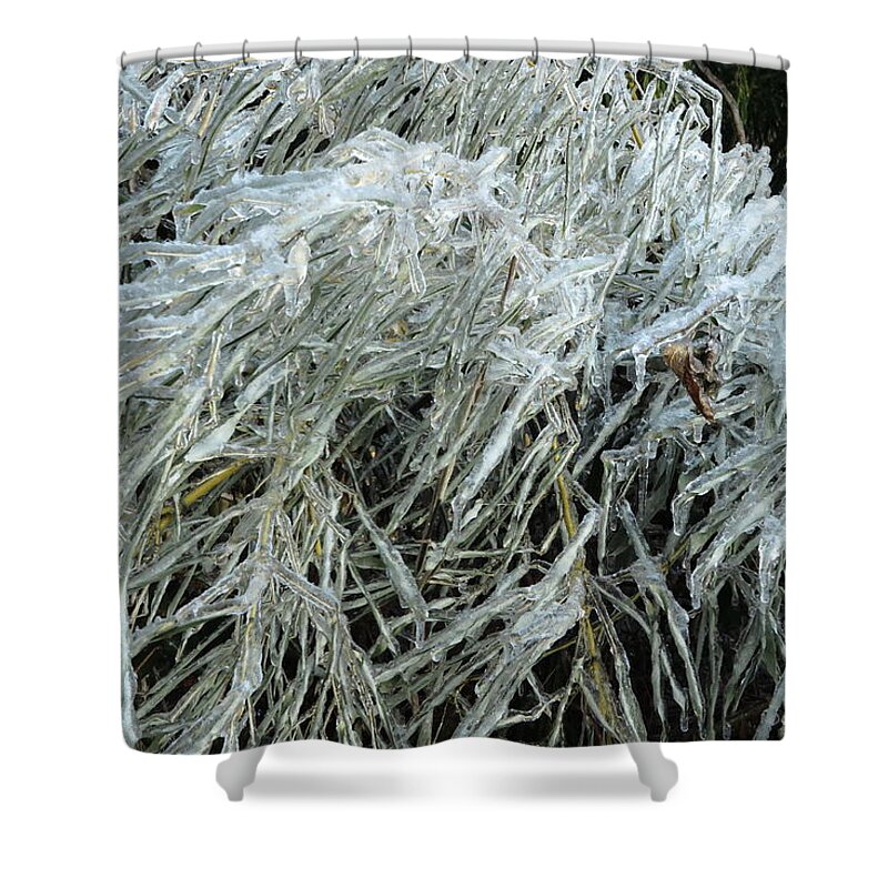 Ice Shower Curtain featuring the photograph Ice On Bamboo Leaves by Daniel Reed