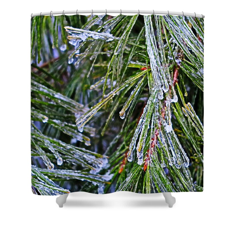 Ice Shower Curtain featuring the photograph Ice On Pine Needles by Daniel Reed