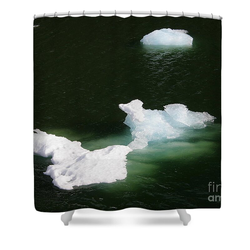 Ice Sculpture Shower Curtain featuring the photograph Ice Sculpture in the Tracy Arm Fjordj by Bev Conover