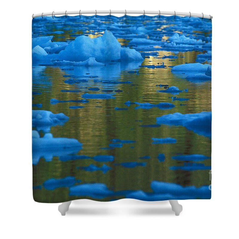 Glacier Shower Curtain featuring the photograph Icebergs, Leconte Bay, Alaska by Ron Sanford