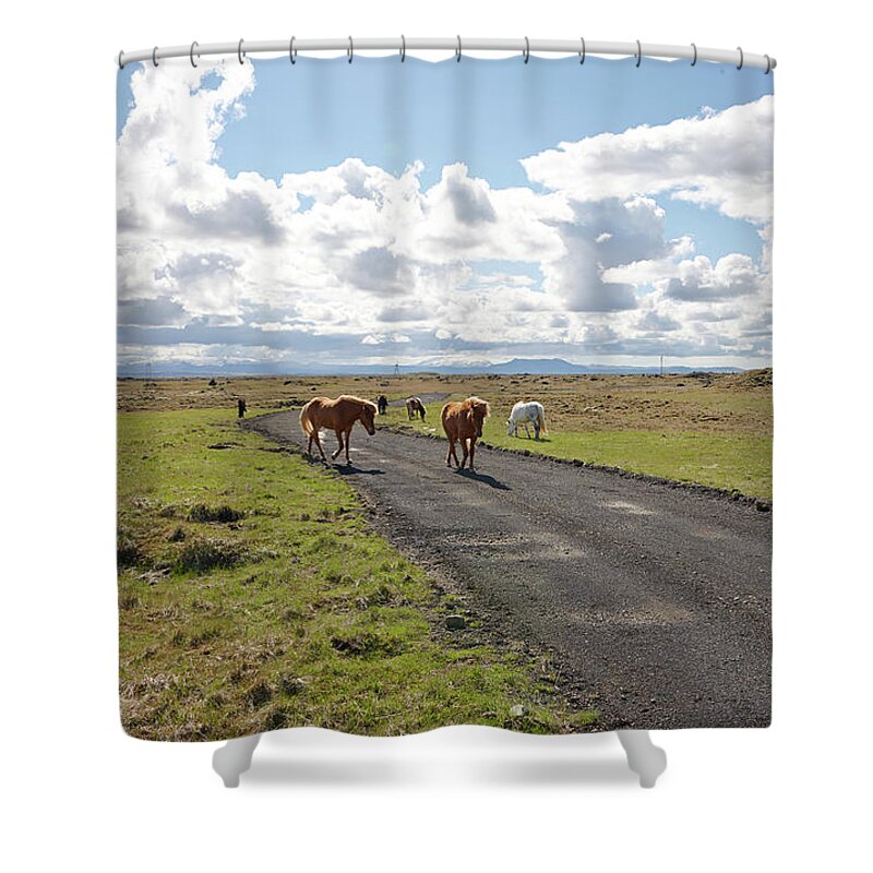 Horse Shower Curtain featuring the photograph Icelandic Horses Iceland by Thomas Juul