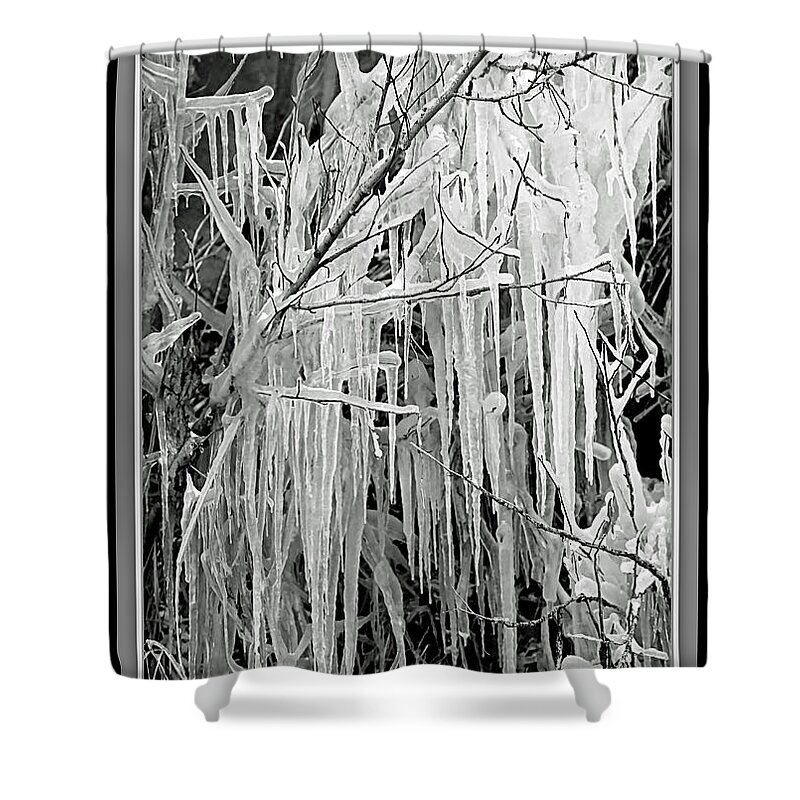 Icicles Shower Curtain featuring the photograph Icicles in Black and White by Carol Groenen
