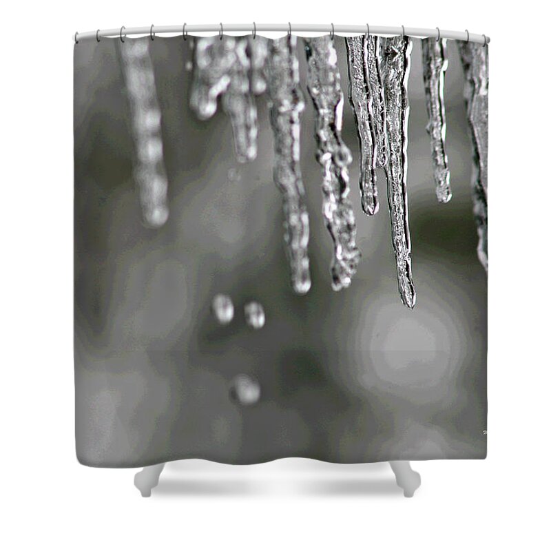  Shower Curtain featuring the photograph Icicles by Matalyn Gardner