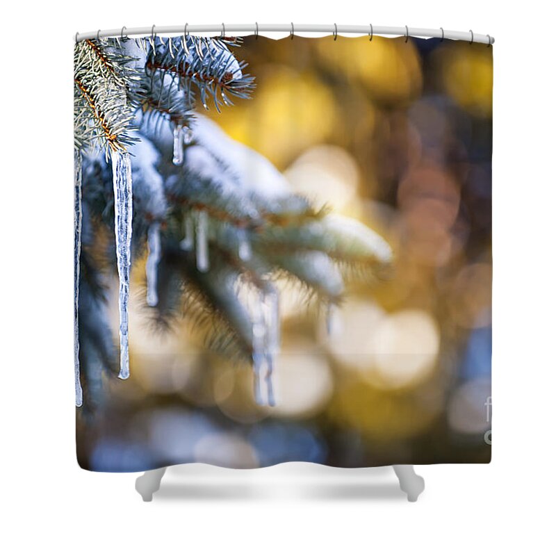 Icicles Shower Curtain featuring the photograph Icicles on fir tree in winter by Elena Elisseeva