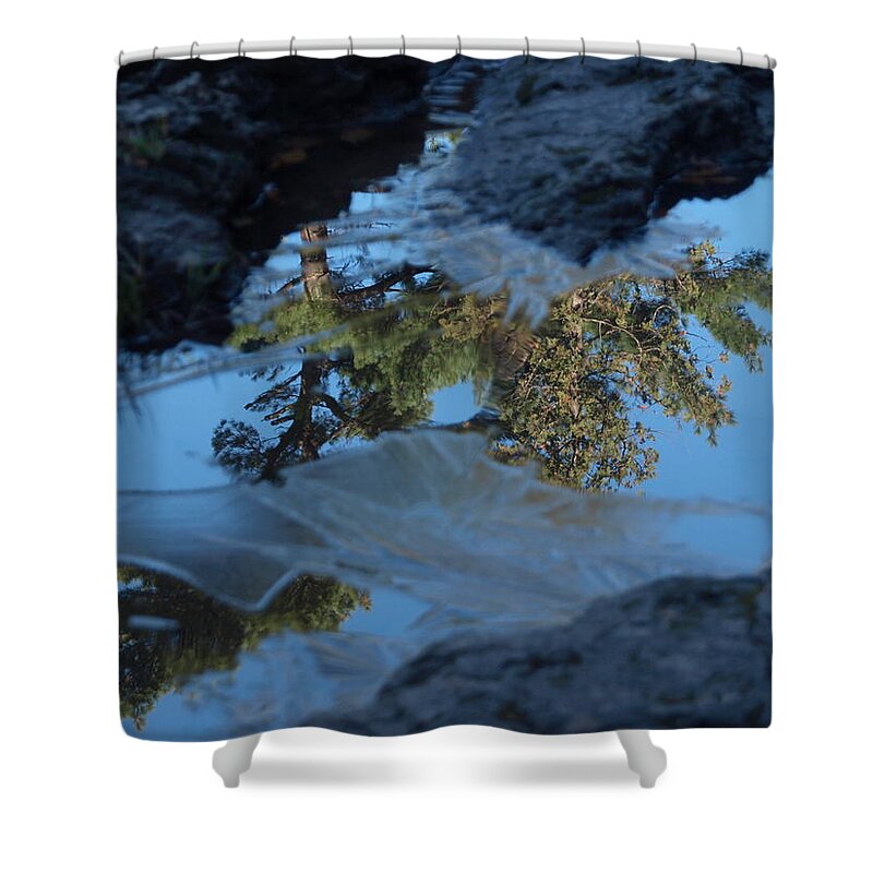 Jim Shower Curtain featuring the photograph Icy Evergreen Reflection by James Peterson