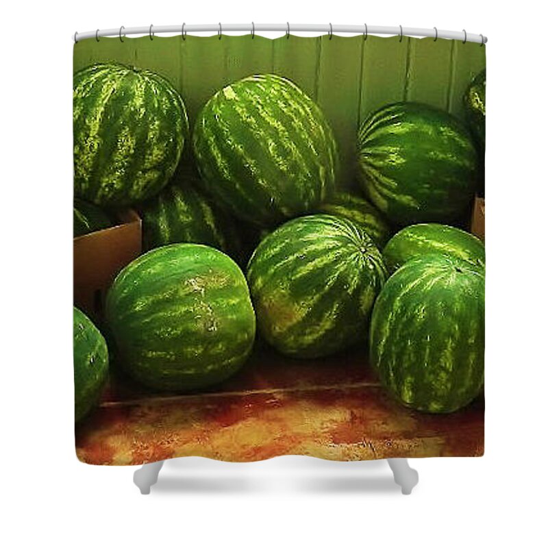 Watermelons Shower Curtain featuring the photograph If I Had A Watermelon by Patricia Greer