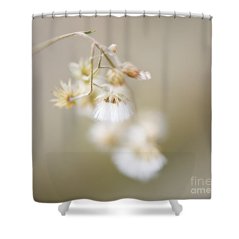 Nature Photo Shower Curtain featuring the photograph If only I am ..... by Ivy Ho