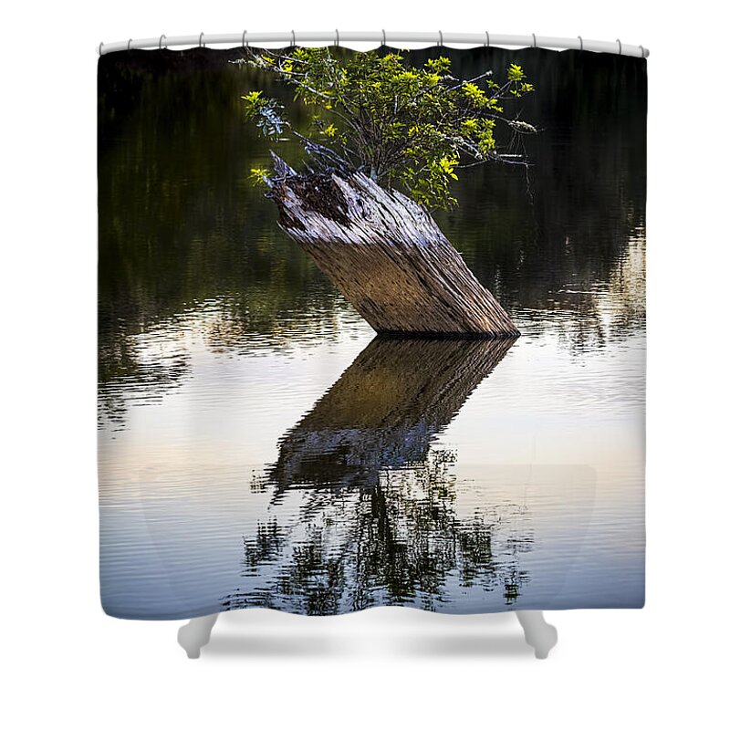  Sunset Shower Curtain featuring the photograph If There Is A Will There Is A Way by Marvin Spates