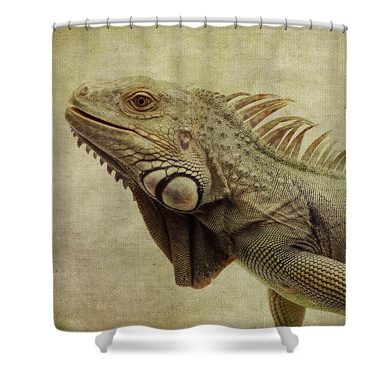 Green Iguana Shower Curtain featuring the photograph Iguana by Marina Kojukhova