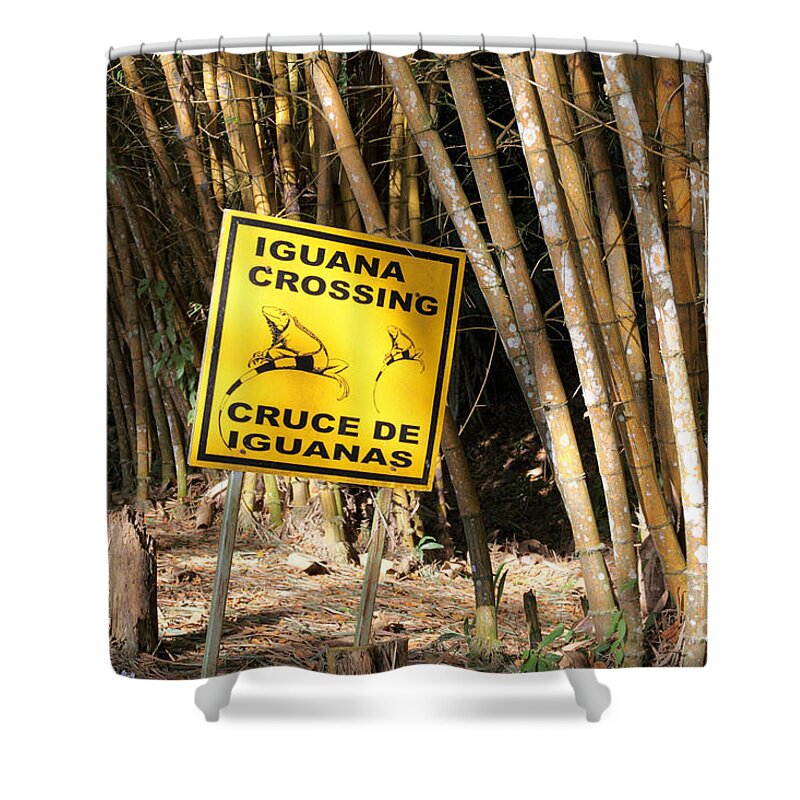 Road Sign Shower Curtain featuring the photograph Iguanas Rule the Road by James Brunker