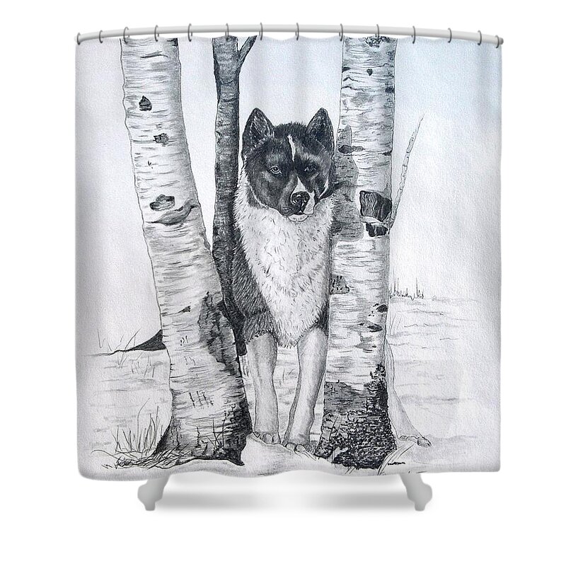 Dog Prints Shower Curtain featuring the drawing Ihasa in the Woods by Joette Snyder