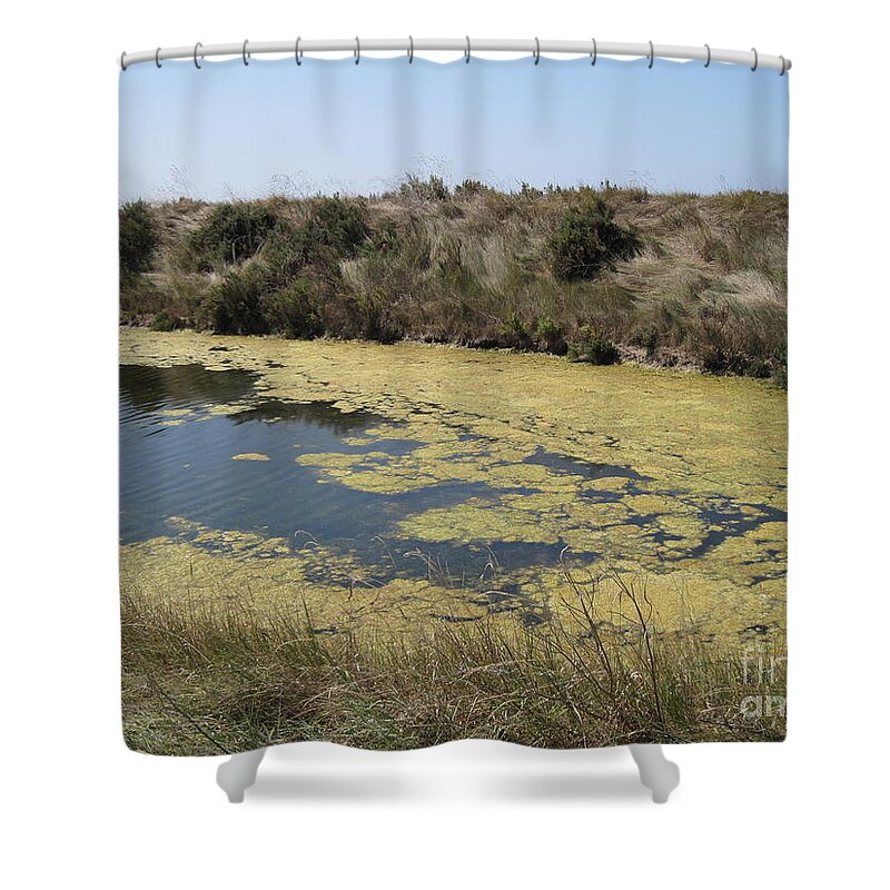 Marshes Shower Curtain featuring the photograph Ile de Re - Marshes by HEVi FineArt