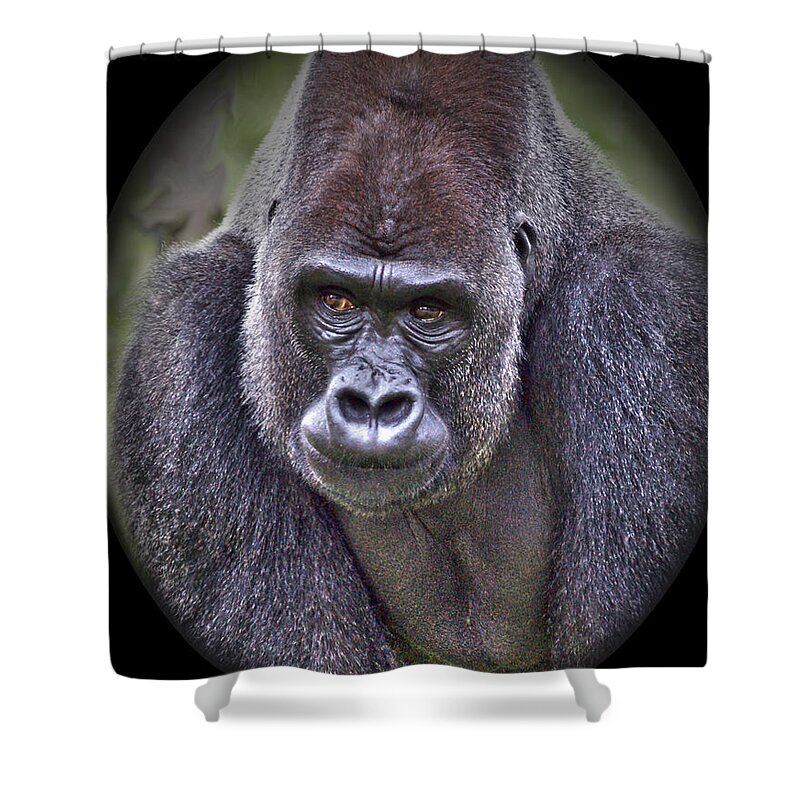Apes Shower Curtain featuring the photograph I'm Boss by Crystal Harman