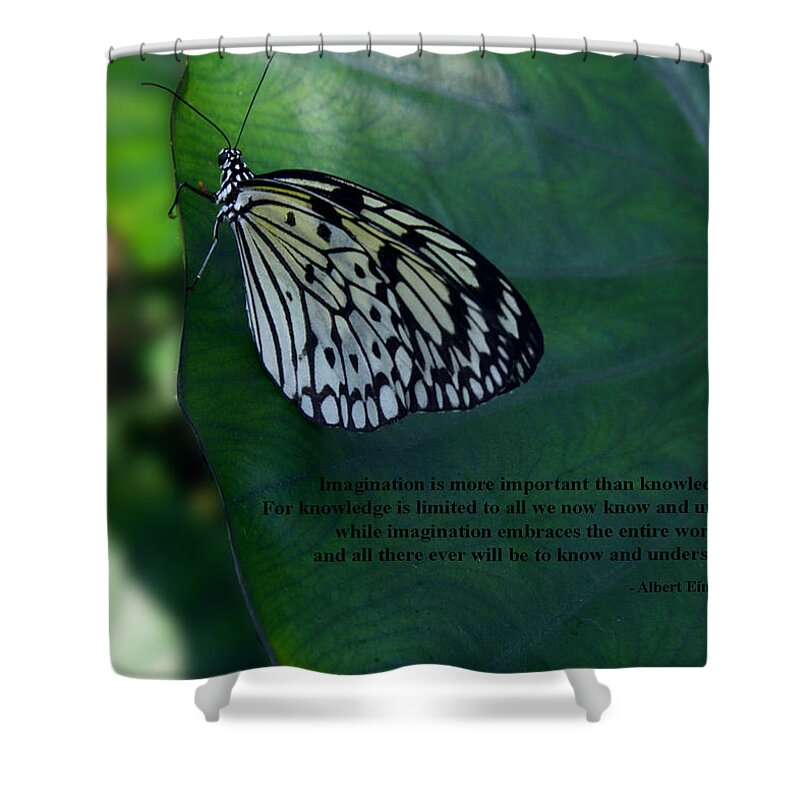 Quote Shower Curtain featuring the photograph Imagination by Sandra Clark