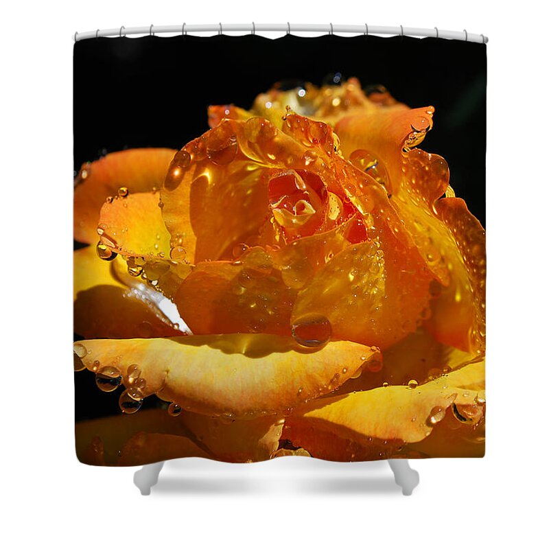 Becky Furgason Shower Curtain featuring the photograph #imagine by Becky Furgason