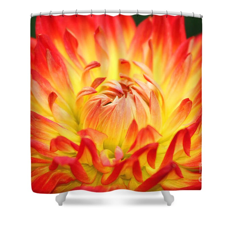 Flower Shower Curtain featuring the photograph Img 0023 Flor En Rojo Detalle by Francisco Pulido