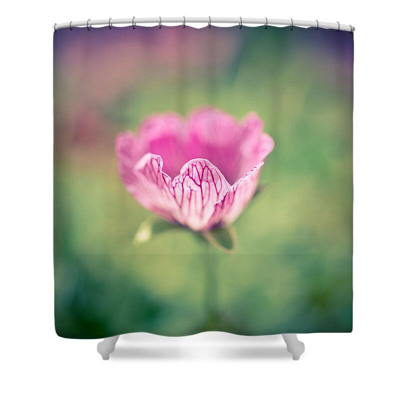 Geranium Shower Curtain featuring the photograph Imperfect Bloom by Priya Ghose