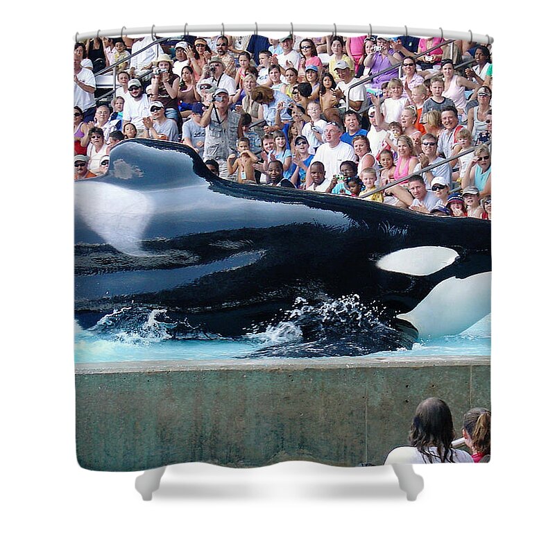 Orca Shower Curtain featuring the photograph Impressive by David Nicholls