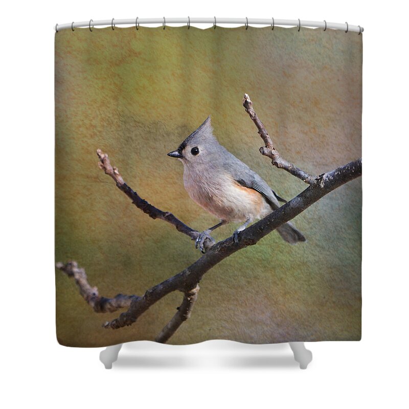 Bird Shower Curtain featuring the photograph In Betwigst by Deena Stoddard