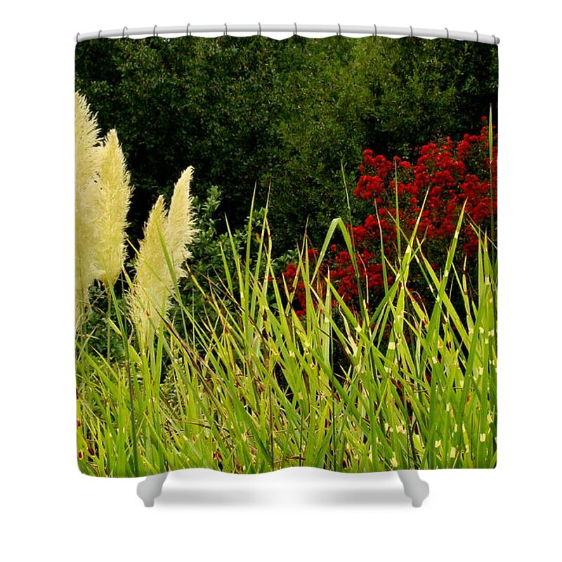 Fine Art Shower Curtain featuring the photograph In Harmony by Rodney Lee Williams
