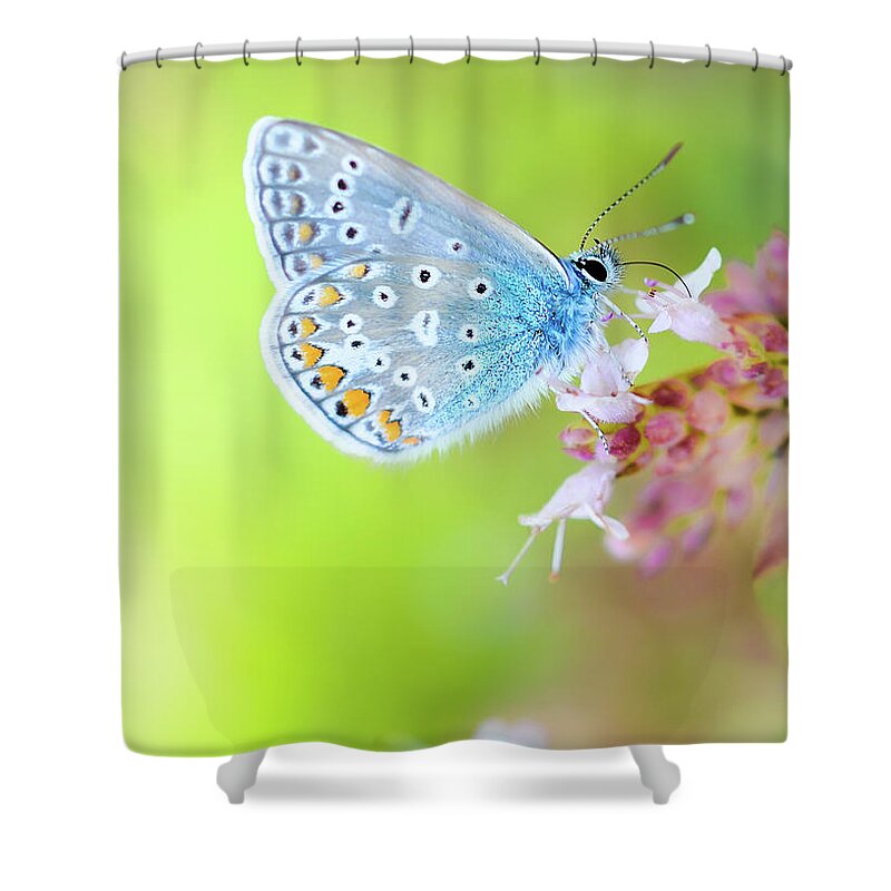 Insect Shower Curtain featuring the photograph In His Own Little World by Stillbelieven