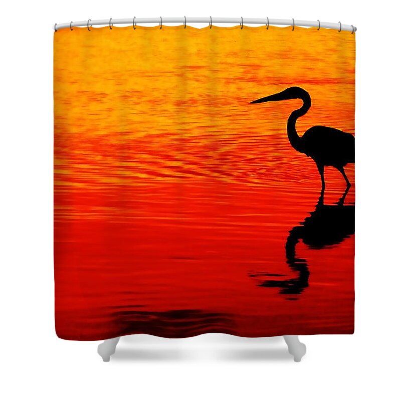 Great Blue Heron Shower Curtain featuring the photograph In Search of Gold by Stuart Harrison