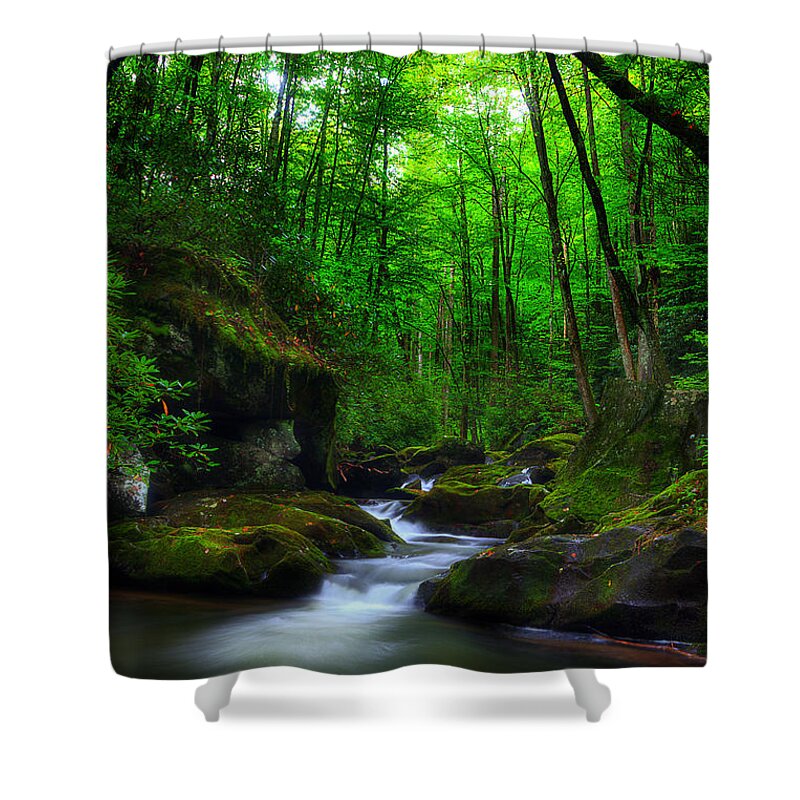 Stream Shower Curtain featuring the photograph In Search Of by Michael Eingle