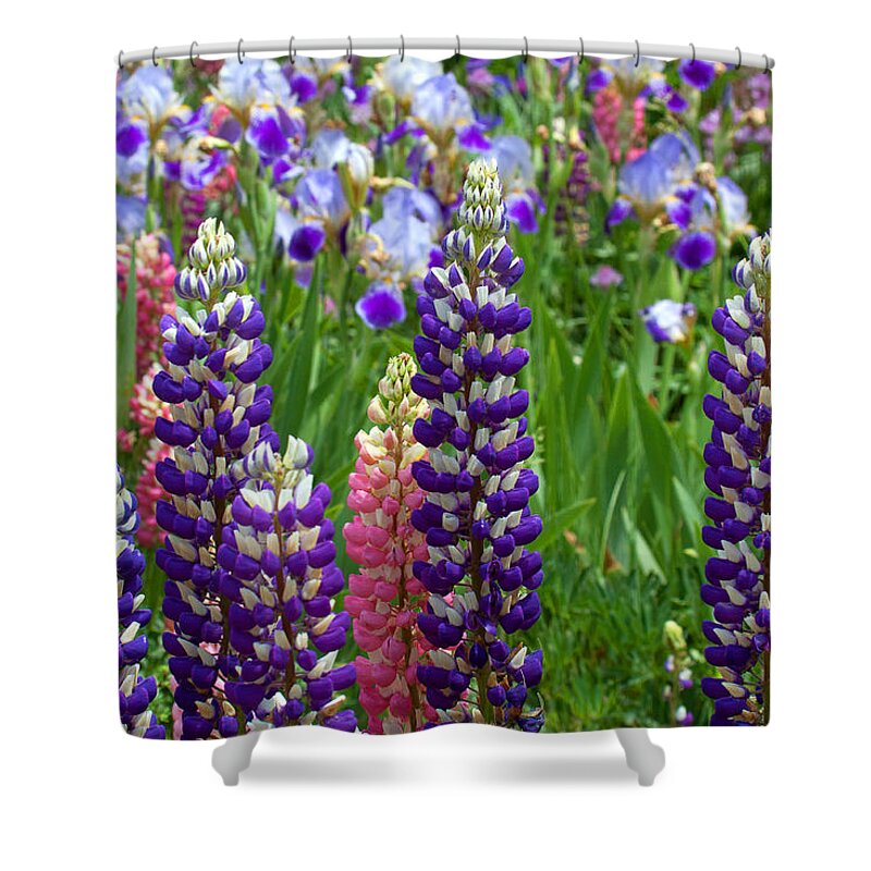Flowers Photograph; Lupine Canvas Print Shower Curtain featuring the photograph Below the Evergreen Dam by Jim Garrison