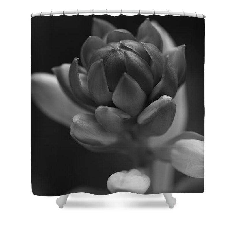 Flower Shower Curtain featuring the photograph In Time by Paul Watkins